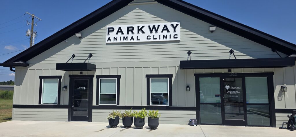 Veterinary clinic in Ringgold, GA with commercial window film on its front windows